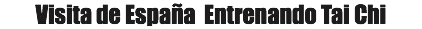 Visita de España Entrenando Tai Chi