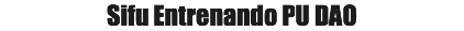 Sifu Entrenando PU DAO
